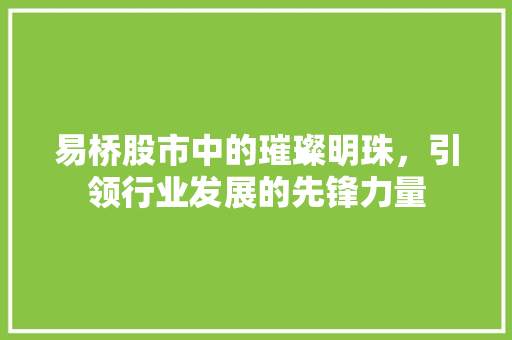 易桥股市中的璀璨明珠，引领行业发展的先锋力量