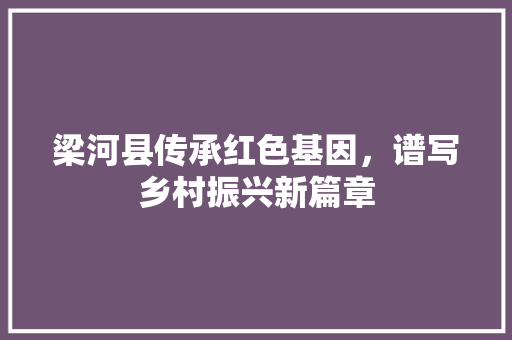 梁河县传承红色基因，谱写乡村振兴新篇章