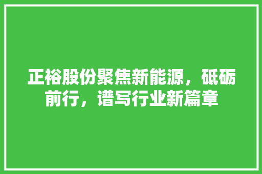 正裕股份聚焦新能源，砥砺前行，谱写行业新篇章