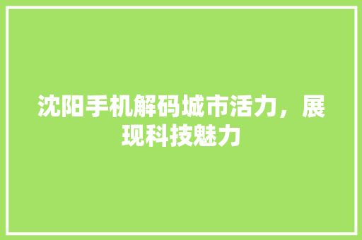 沈阳手机解码城市活力，展现科技魅力