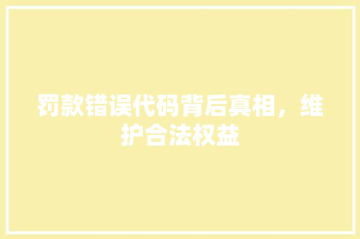 罚款错误代码背后真相，维护合法权益