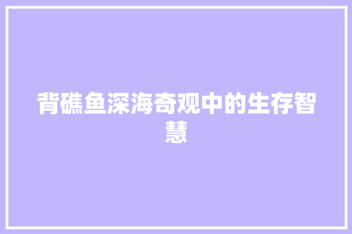 背礁鱼深海奇观中的生存智慧