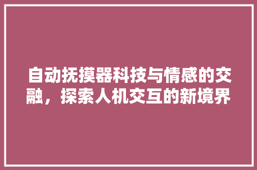 自动抚摸器科技与情感的交融，探索人机交互的新境界