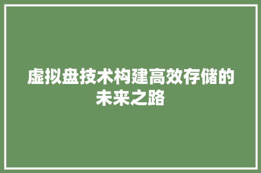 虚拟盘技术构建高效存储的未来之路