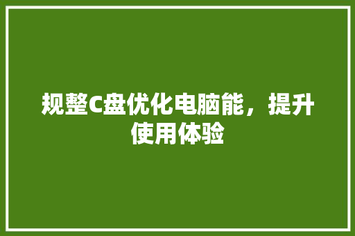 规整C盘优化电脑能，提升使用体验