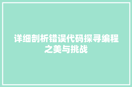 详细剖析错误代码探寻编程之美与挑战