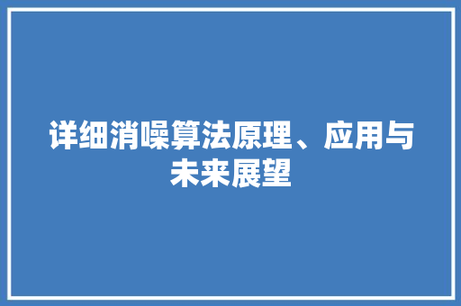 详细消噪算法原理、应用与未来展望