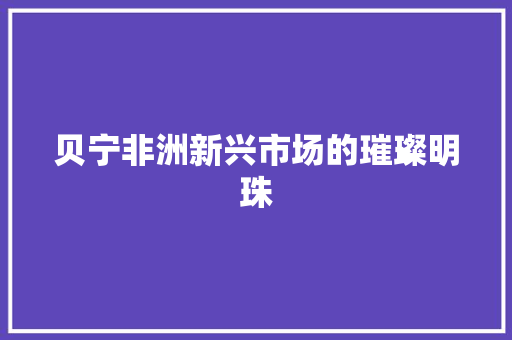 贝宁非洲新兴市场的璀璨明珠