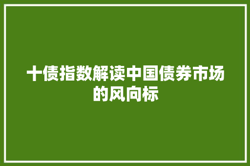 十债指数解读中国债券市场的风向标