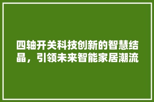 四轴开关科技创新的智慧结晶，引领未来智能家居潮流