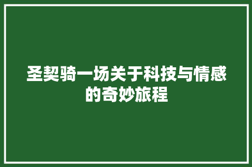 圣契骑一场关于科技与情感的奇妙旅程