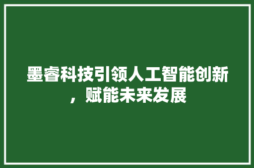 墨睿科技引领人工智能创新，赋能未来发展