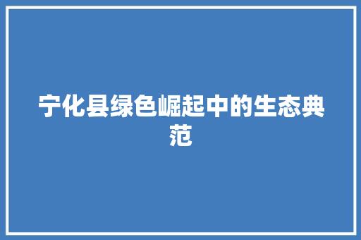 宁化县绿色崛起中的生态典范