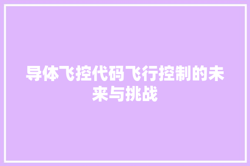 导体飞控代码飞行控制的未来与挑战