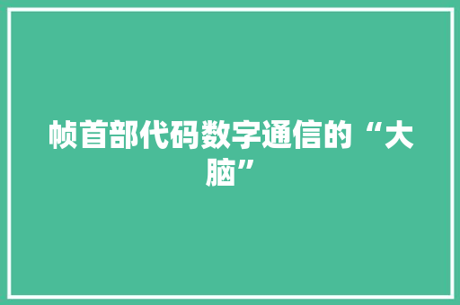 帧首部代码数字通信的“大脑”