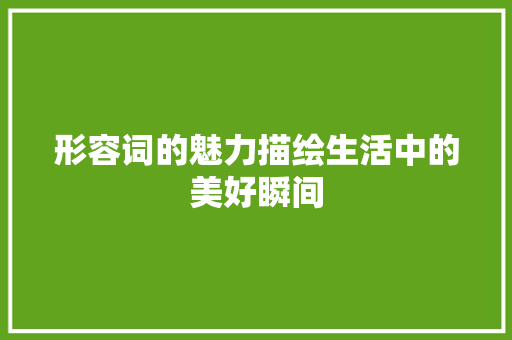 形容词的魅力描绘生活中的美好瞬间