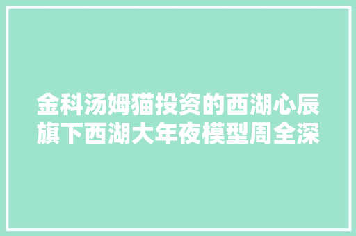 金科汤姆猫投资的西湖心辰旗下西湖大年夜模型周全深入家当模型定制合作