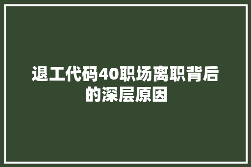 退工代码40职场离职背后的深层原因