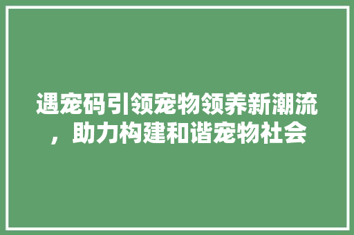 遇宠码引领宠物领养新潮流，助力构建和谐宠物社会