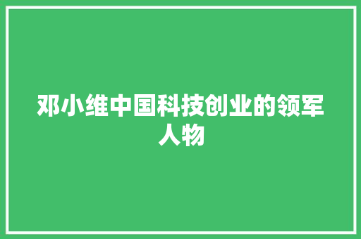 邓小维中国科技创业的领军人物