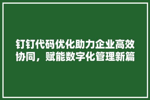 钉钉代码优化助力企业高效协同，赋能数字化管理新篇章