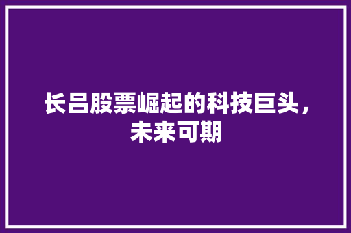 长吕股票崛起的科技巨头，未来可期