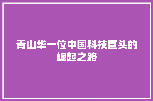 青山华一位中国科技巨头的崛起之路