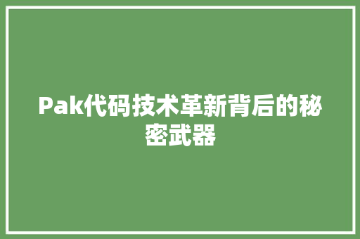 Pak代码技术革新背后的秘密武器