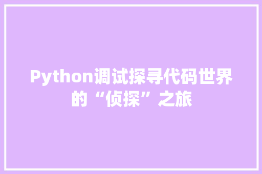 Python调试探寻代码世界的“侦探”之旅