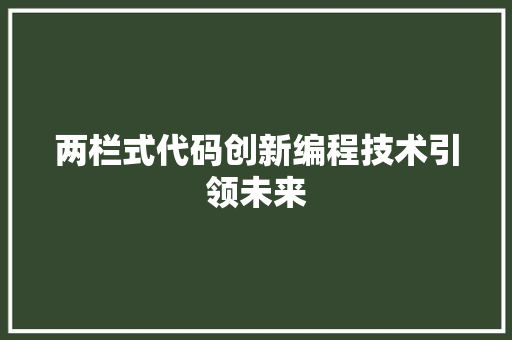 两栏式代码创新编程技术引领未来