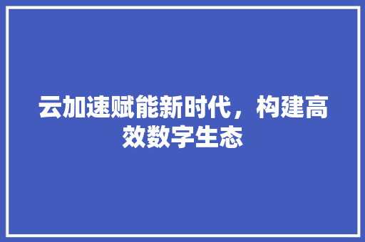 云加速赋能新时代，构建高效数字生态