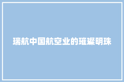 瑞航中国航空业的璀璨明珠