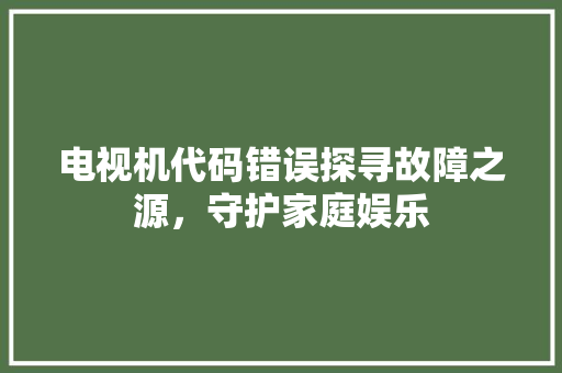 电视机代码错误探寻故障之源，守护家庭娱乐