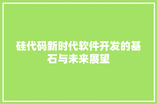 硅代码新时代软件开发的基石与未来展望