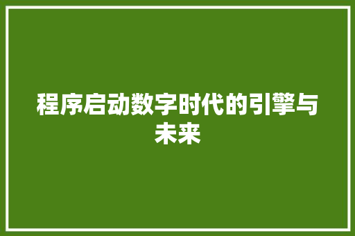 程序启动数字时代的引擎与未来