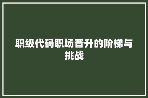 职级代码职场晋升的阶梯与挑战