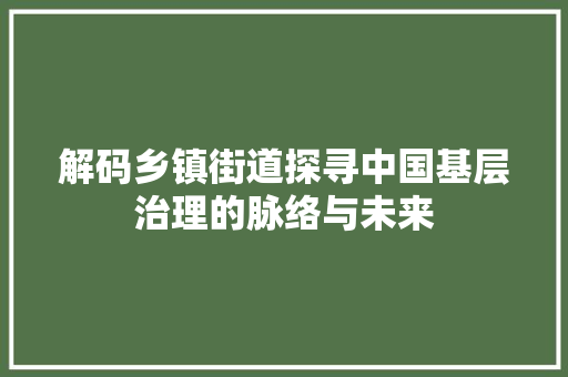 解码乡镇街道探寻中国基层治理的脉络与未来