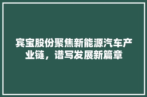 宾宝股份聚焦新能源汽车产业链，谱写发展新篇章