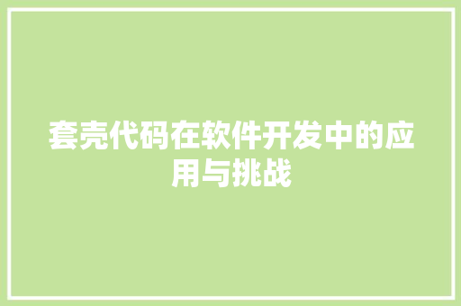 套壳代码在软件开发中的应用与挑战