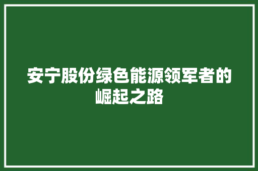 安宁股份绿色能源领军者的崛起之路