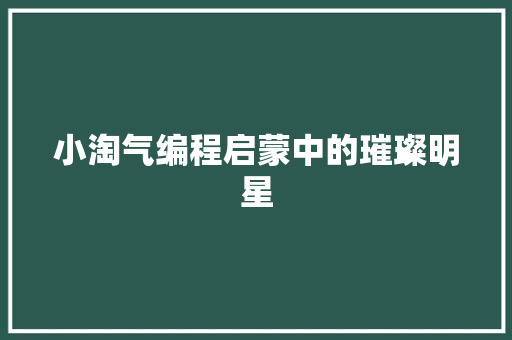 小淘气编程启蒙中的璀璨明星