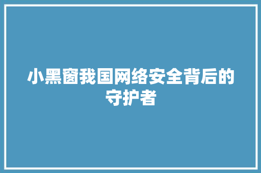 小黑窗我国网络安全背后的守护者