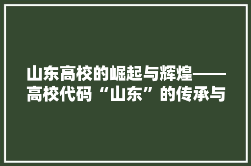 山东高校的崛起与辉煌——高校代码“山东”的传承与创新