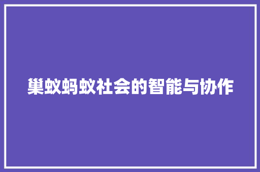 巢蚁蚂蚁社会的智能与协作