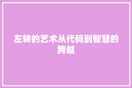 左转的艺术从代码到智慧的跨越