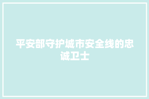 平安部守护城市安全线的忠诚卫士