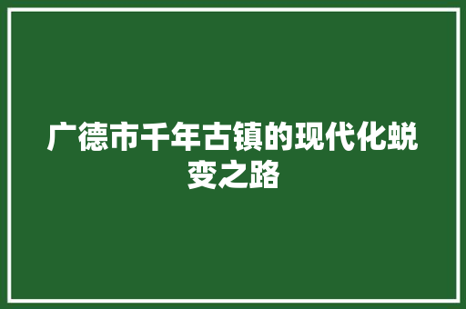 广德市千年古镇的现代化蜕变之路