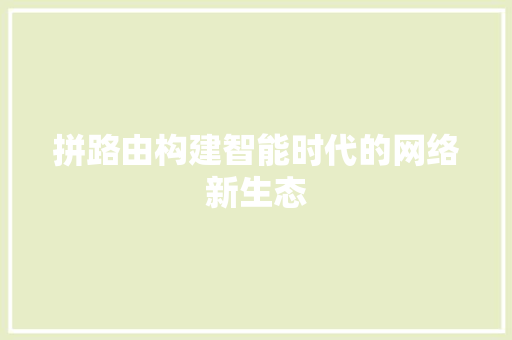 拼路由构建智能时代的网络新生态