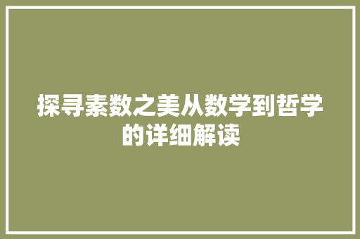 探寻素数之美从数学到哲学的详细解读