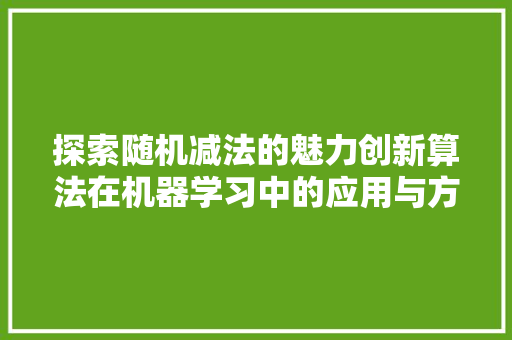 探索随机减法的魅力创新算法在机器学习中的应用与方法